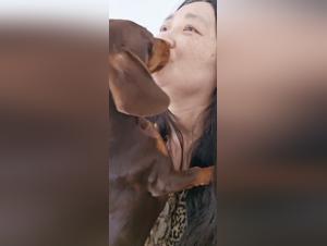 zoophilia unveiled: reality and fantasies