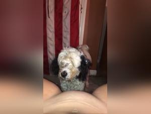 Home Dog Bitch and Dog Sex Videos: A Shocking Exploration of Human-Animal Relationships