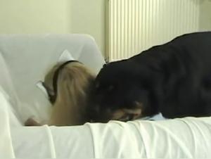 baise avec chien :  fantasie enfermante