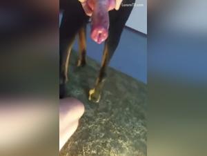 Soddisfazione bestiale garantita