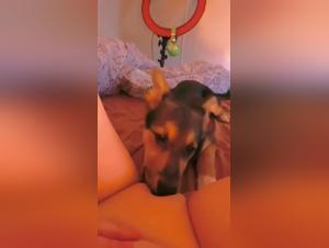 Zoophilia video with a teenager and a dog