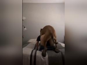 Sottimitazione selvaggia: adolescente amatoriale sfruttato dal suo Perrito