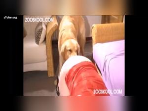 An Intense Zoophile Adventure With a Blonde and Her Canine Best Friend