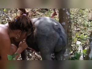 Video XXX sexo entre un orangutan y su perrita sucia in Pornhub, Sexo Extremo.