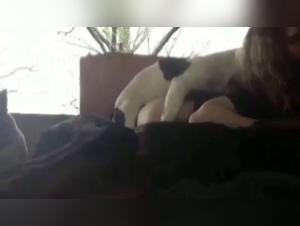 Immergiti negli abissi: Troie & Cani in una danza sfrenata di piacere