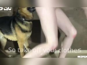 OnlyZoo US: A Deviant Reflection