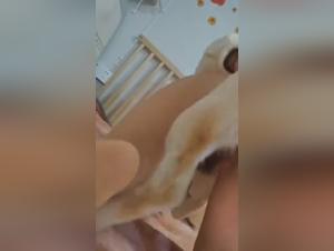 Crazy coach, dogs prey to desires
