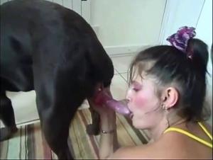 animal pleasure dog