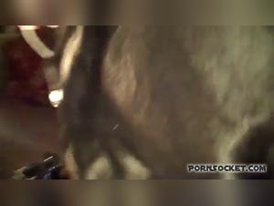 Bestiality video with a woman and her dog