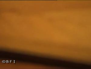 A Slut Sucks Her Dog's Dick During a Sexy Orgy