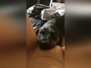 Extreme Bestiality Sex Scene with a Dog