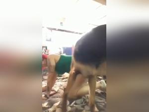 The Dog Lovers' Sex Guide: Exploring the World of Female Dog Owners