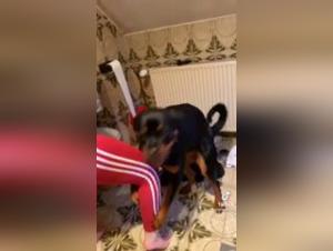 Svelare le fantasie piu oscure: troia e cane in un'orgia su TikTok