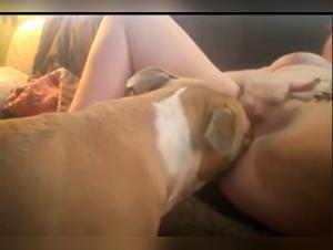 Amateur zoophilia video: Discover the pleasures of bestiality