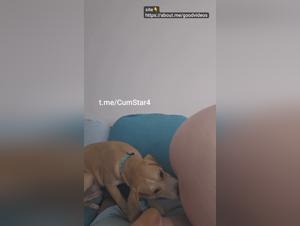 Svela i desideri piu sfrenati: donne e cani in una danza inquietante