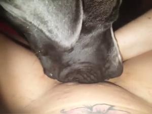 A dog owner's dog lover screwed in a passionate and intense scenario