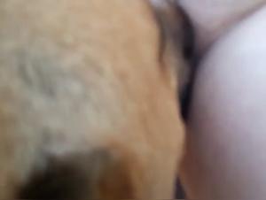 Scopata con animali: scoperte demoniache con donne spagnole