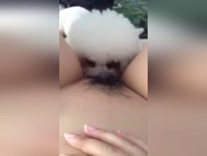 Bestiality sex scene with an Asian woman and her dog