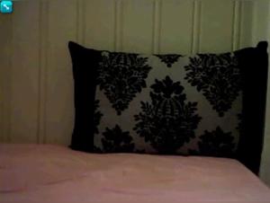 An Experience of Bestiality and Extreme Sex