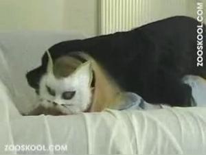 La ragazza dei tuoi sogni, fatata da un cane sessualmente carico in una passione delicata e intensa allo stesso tempo. Questo film mostra una classica sfida di Zootown in cui una donna si diverte a farsi scopare con il suo amorevole cane