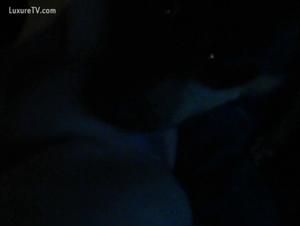 Exploration of zoophilia with an amateur couple and their dog