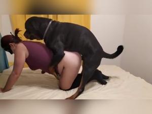 Extreme zoophilia scene with an unfaithful slut