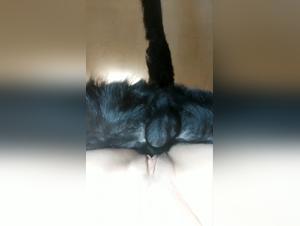 Bestiality Amateur Video