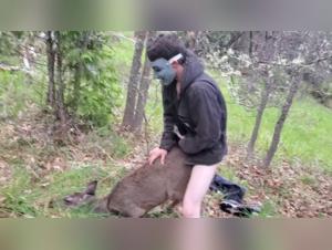 dog cums, gay bestiality unveiled