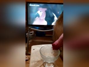 Hard and extreme zoophilia scenes