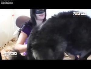 Scopri l'attrazione irresistibile: donne e cani in azione