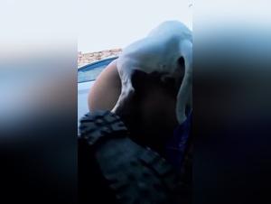 Watch the sexy encounter now: a hot and passionate session between two humans and their pet dog.