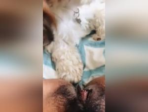 Watch this Slut Get Fucked by a Dog in Hardcore Scenes