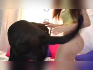 Bestiality Video: A Woman and Her Four-Legged Best Friend
