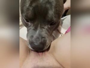 Vidéo Exclusive de Sexe Bestialité - Regardez une Femme et son Chien dans une Scène Choc