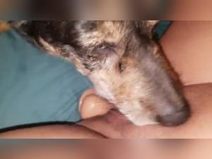 Watch This Slut Get Licked Deep