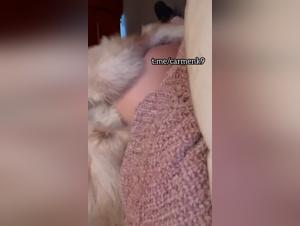 Léchage intense de la chatte par un chien
