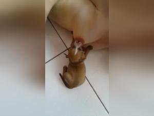 Forbidden Intimate Moments Between a Dog and Her Canine Lover