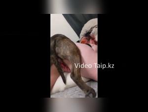 Discover the forbidden passion between a woman and her dog