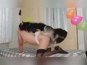 denise frazier and the bestial realm