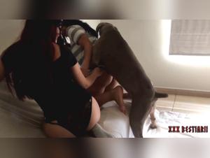 Zoophilia Video: A Forbidden Love Story