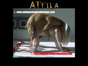 Bestiality Video: Woman and Dog