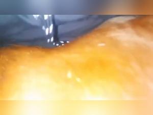 zooph dog fuckin denise frazier