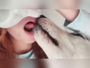 Porn Star Mazzy Gagnon in Extreme Bestiality Scene