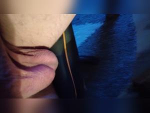 Extreme Intimacy and Zoophilia Art