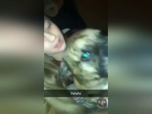 Discover the pleasures of bestiality in our dog sex video