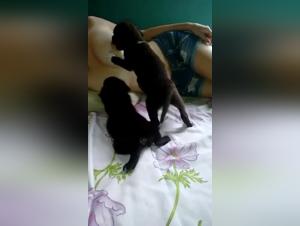 Teen Bestiality: A Dark Reality