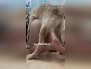 Brutal Animal Fuck: Wild sex scenes with dogs, for unscrupulous souls