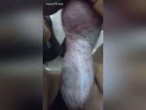 Amateur Dog Sex Videos: A Close-Up Experience