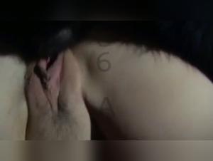 Check out a one-of-a-kind dog sex video