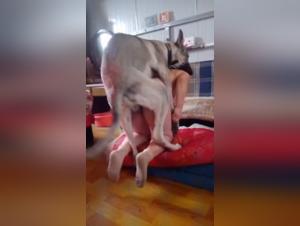 Exploring Morality's Boundaries